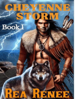 Cheyenne Storm: Cheyenne Series, #1