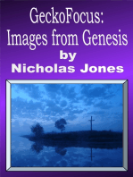 GeckoFocus: Images From Genesis