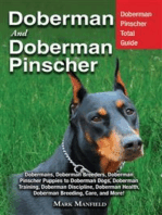 Doberman and Doberman Pinscher: Doberman Pinscher Total Guide: Dobermans, Doberman Breeders, Doberman Pinscher Puppies to Doberman Dogs, Doberman Training, Doberman Discipline, Doberman Health, Doberman Breeding, Care, and More!