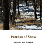 Patches of Snow