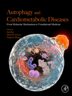 Autophagy and Cardiometabolic Diseases: From Molecular Mechanisms to Translational Medicine