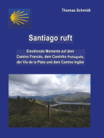 Santiago ruft: Emotionale Momente auf dem Camino Francés, dem Caminho Portugues, der Vía de la Plata und dem Camino Inglés