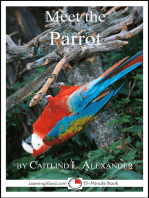 Meet the Parrot
