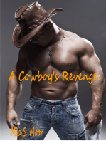 Cowboy's Revenge