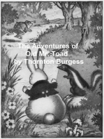 The Adventures of Old Mr. Toad, Illustrated