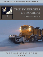 The synergies of Marcio 3: Corrective actions