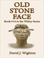 Old Stone Face