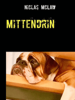 Mittendrin