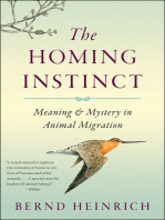 The Homing Instinct: Meaning & Mystery in Animal Migration