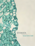 Stomata