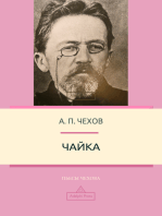 Чайка