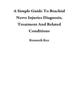 A Simple Guide To Brachial Nerve Injuries Diagnosis, Treatment And Related Conditions