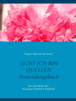 Licht ich bin Quellen - Das Anwendungsbuch: Ein Geschenk der Erzengel & Kartendeck