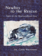 Newfies to the Rescue