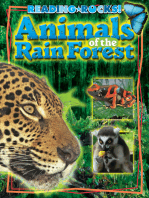 Animals of the Rain Forest