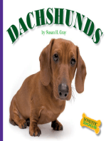 Dachshunds