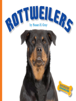 Rottweilers