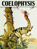 Coelophysis