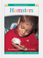 Hamsters