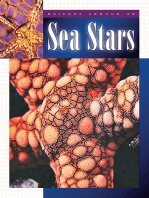 Sea Stars