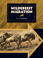 Wildebeest Migration