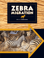 Zebra Migration