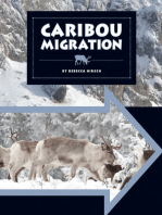 Caribou Migration