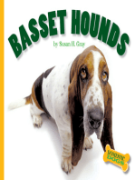 Basset Hounds