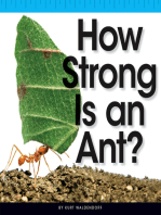 How Strong Is an Ant?