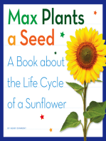 Max Plants a Seed