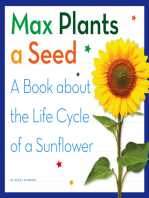 Max Plants a Seed: A Book about the Life Cycle of a Sunflower