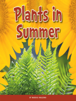 Plants in Summer