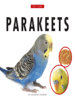 Caring for My Parakeet