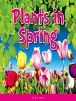 Plants in Spring