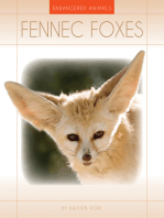 Fennec Foxes