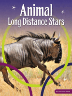 Animal Long Distance Stars