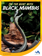 On the Hunt with Black Mambas