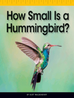 How Small Is a Hummingbird?