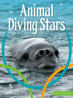 Animal Diving Stars