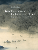 Brücken zwischen Leben und Tod: Begegnungen mit Verstorbenen