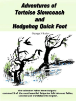 Adventures of Tortoise Slowcoach and Hedgehog Quick Foot