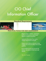 CIO Chief Information Officer Standard Requirements