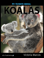 My Favorite Animal: Koalas