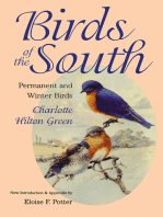 Birds of the South