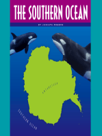 The Southern Ocean