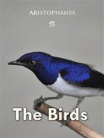 The Birds