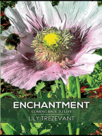 Enchantment: Coming Back to Life