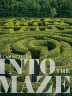 Into The Maze
