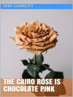 The Cairo Rose is Chocolate Pink
