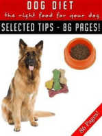 Dog Diet – The Right Food For Your Dog